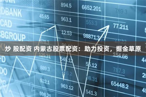 炒 股配资 内蒙古股票配资：助力投资，掘金草原