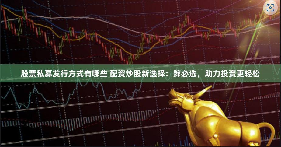 股票私募发行方式有哪些 配资炒股新选择：蹿必选，助力投资更轻松