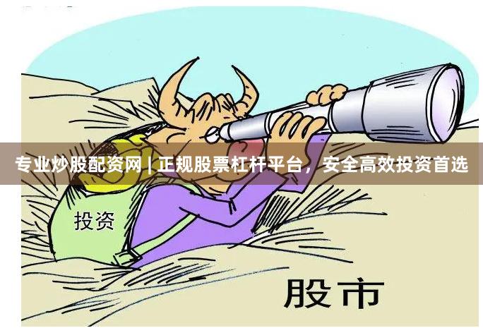 专业炒股配资网 | 正规股票杠杆平台，安全高效投资首选