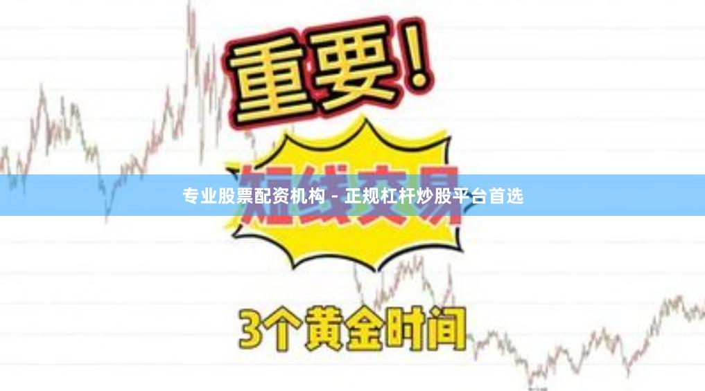 专业股票配资机构 - 正规杠杆炒股平台首选